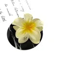 Tropical Bloom Hair Claws