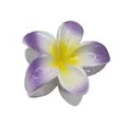 Tropical Bloom Hair Claws